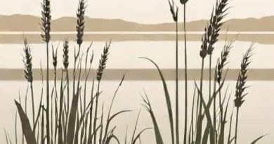 Dacre Lakeside Park Bulrush Watersedge