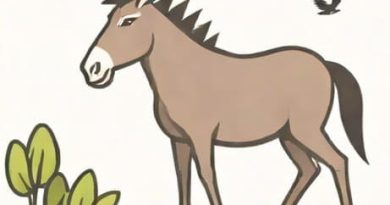 Donkey Attacked By Bird Noisily In Side