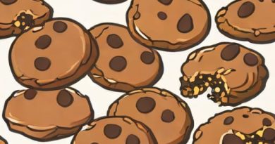 Double Chocolate Chip Cookies