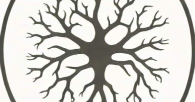 Has Neurons That Innervate The Upper Limbs