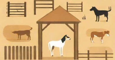 Ok Canine Corral West