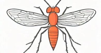 Picture Of Anopheles Mosquito