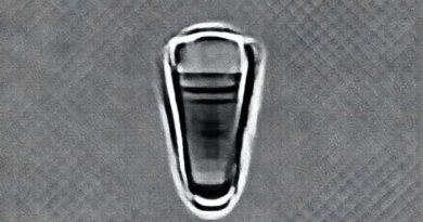 Pulp Capping X Ray