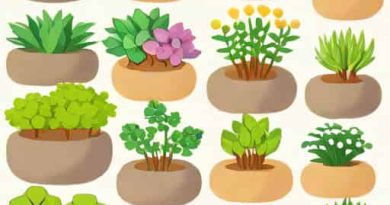 Quick Growing Rockery Plants