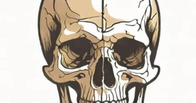 Titan Human Remains Identified